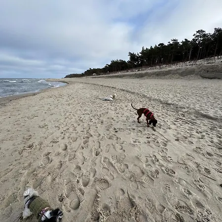 Plaza I Spokoj * Jastrzębia Góra