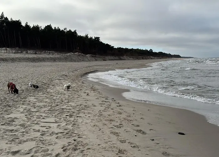 I Spokój Apartament *